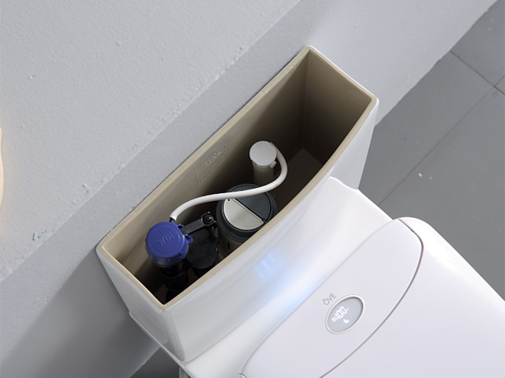 Upgrade Your Toilet (1)