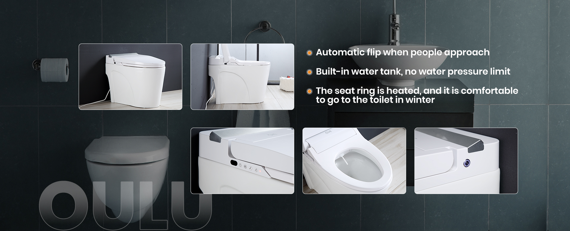 Disabled Toilet With Bidet