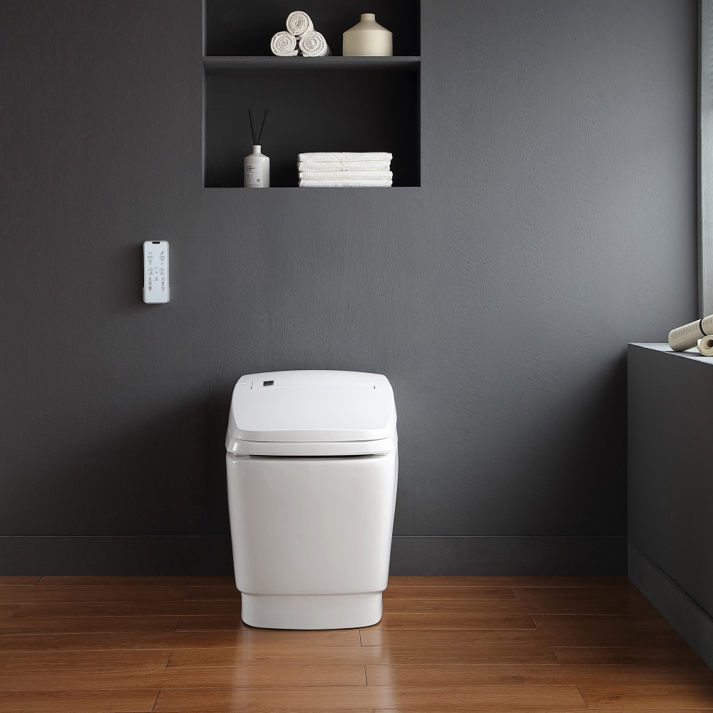 Model 763 Premium Tankless Smart Toilet  Wide Comfort Seat, Modern Square Design (4).jpg