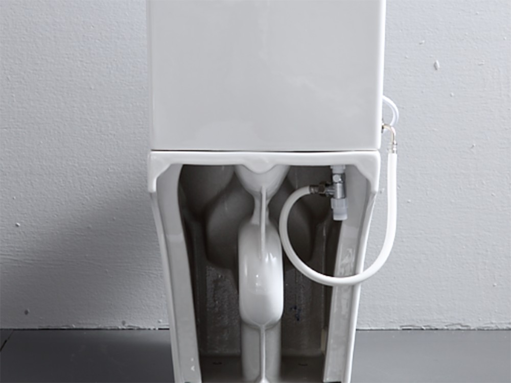 Upgrade Your Toilet (10)