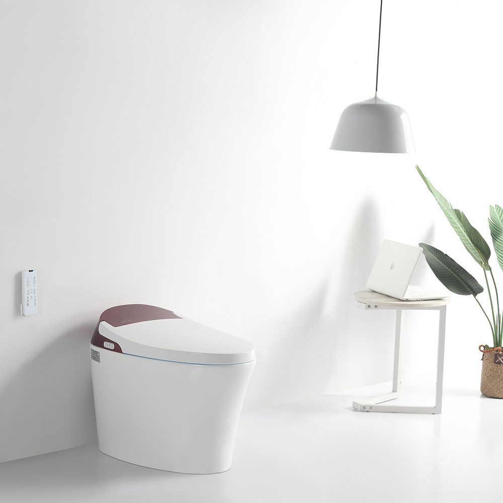 OL-766 Tankless Smart Toilet  Stunning Design with Advanced Hygiene and Comfort (4).jpg