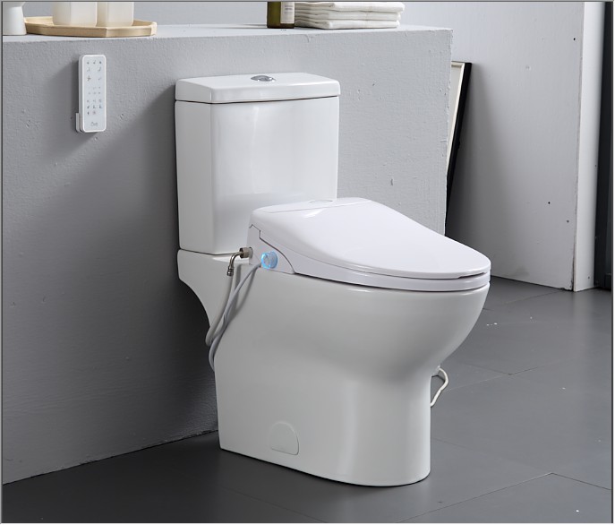 Upgrade Your Toilet with OL-X103 Smart Heated Bidet Seats with Remote Control  (8).jpg