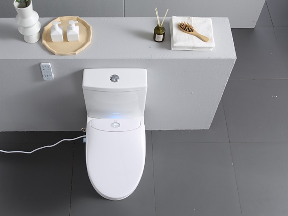 Upgrade Your Toilet (7)