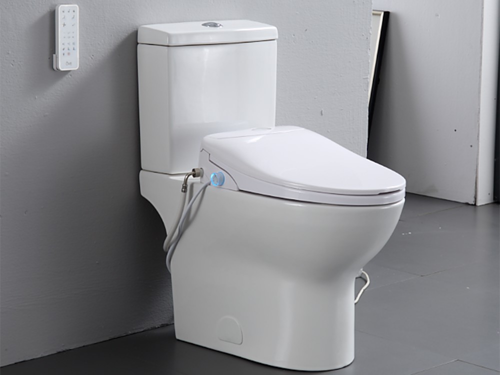 Upgrade Your Toilet (8)
