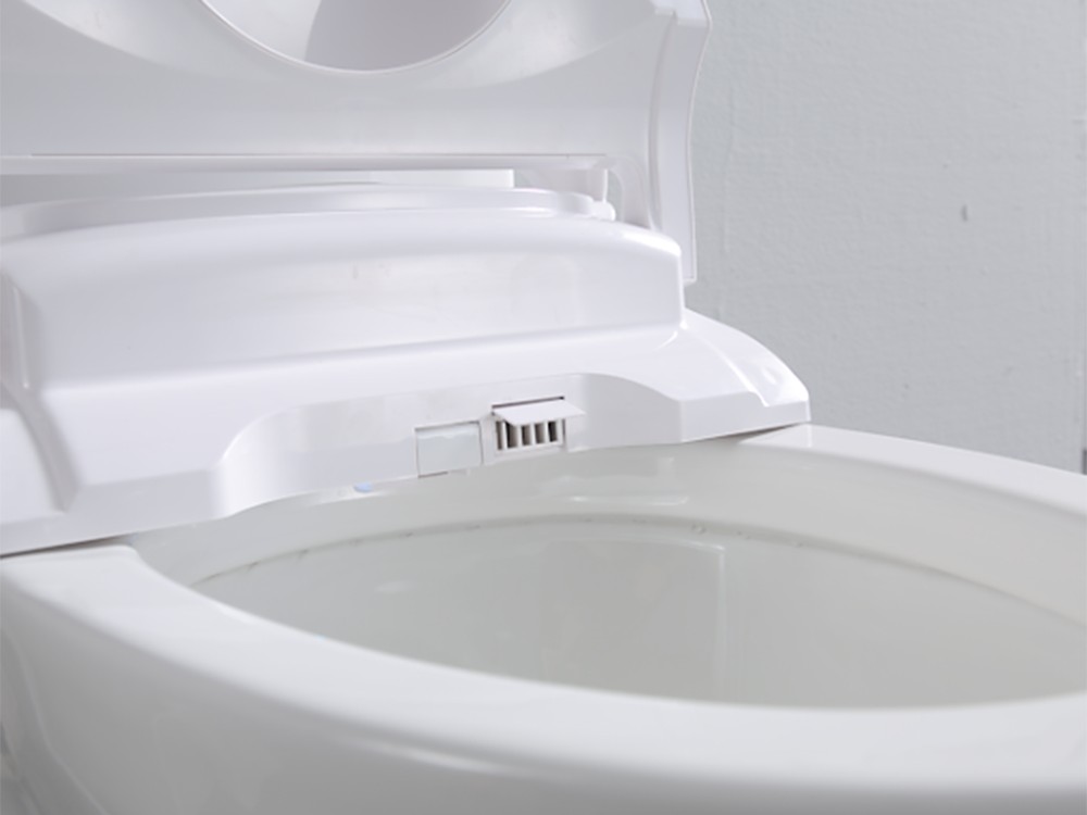 Upgrade Your Toilet (2)