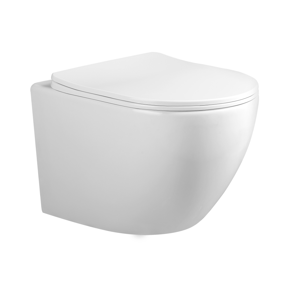 OL-W-09EC Wall-mounted toilet