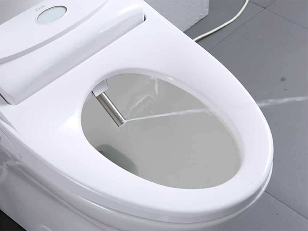Upgrade Your Toilet (9)