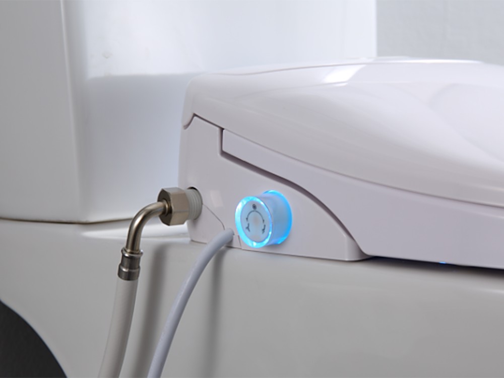 Upgrade Your Toilet (3)